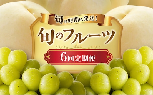 【2026年先行受付】 白桃 シャインマスカット 晴王 6回 定期便 桃 ぶどう 岡山県産 御中元 ギフト 御礼 プレゼント 御礼 御祝 御供 果物 くだもの フルーツ もも モモ 葡萄 ブドウ