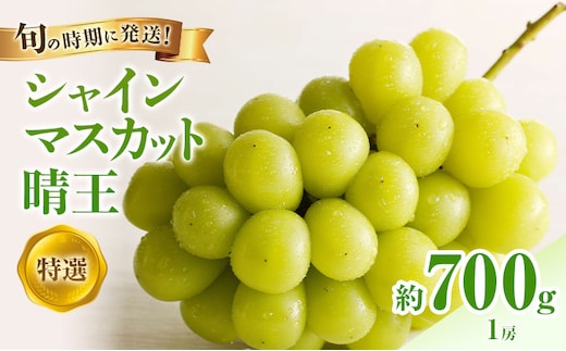 【2026年先行受付】 シャインマスカット 晴王 特選 大房 約700g 1房 化粧箱入 岡山県産 ぶどう 葡萄 ブドウ ギフト 御礼 プレゼント 御礼 御祝 御供 果物 くだもの フルーツ