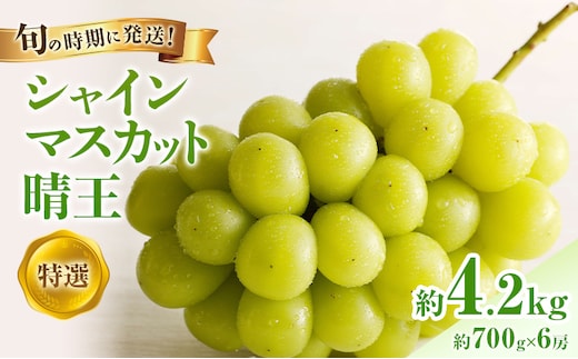 【2026年先行受付】 シャインマスカット 晴王 特選 大房 約700g 6房 化粧箱入 岡山県産 ぶどう 葡萄 ブドウ ギフト 御礼 プレゼント 御礼 御祝 御供 果物 くだもの フルーツ