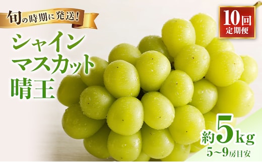 【2026年先行受付】 シャインマスカット 晴王 10回 定期便 秀品 大房 岡山県産 ぶどう ギフト 御礼 プレゼント 御礼 御祝 御供 果物 くだもの フルーツ