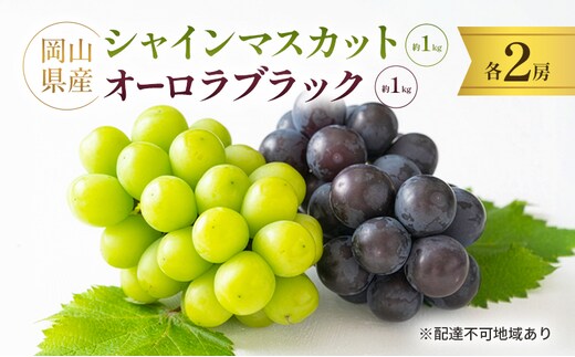 岡山県産 シャインマスカット 約1kg(2房) ・ オーロラブラック 約1kg(2房) 果物 フルーツ ぶどう ブドウ 葡萄 国産 岡山