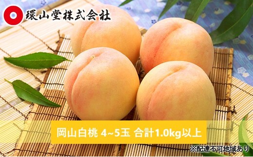 桃 2026年 先行予約 岡山 白桃 4～5玉 合計1.0kg以上 もも モモ 岡山県産 国産 フルーツ 果物 ギフト 環山堂