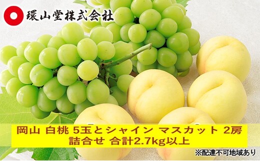 桃 ぶどう 2026年 先行予約 岡山 白桃 5玉とシャイン マスカット 2房 詰合せ 合計2.7kg以上 もも 葡萄 岡山県産 国産 フルーツ 果物 ギフト 環山堂
