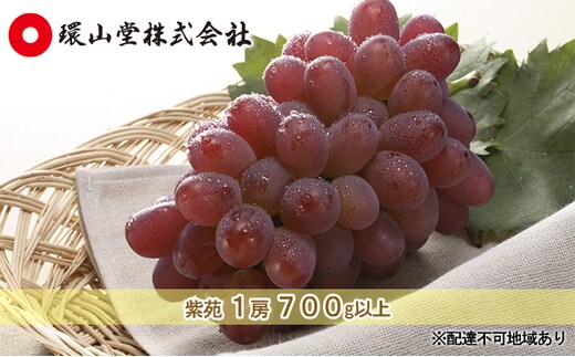ぶどう 2026年 先行予約 冬 紫苑 1房 700g以上 ブドウ 葡萄 岡山県産 国産 フルーツ 果物 ギフト 環山堂