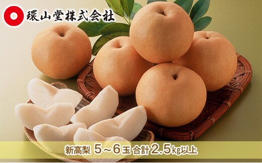 梨 2026年 先行予約 新高 梨 5～6玉 合計2.5kg以上 なし ナシ 岡山県産 国産 フルーツ 果物 ギフト 環山堂