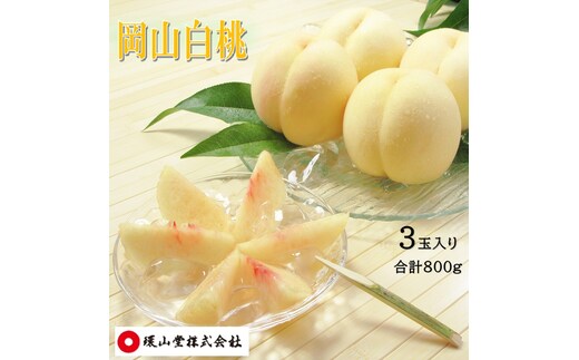 桃 2026年 先行予約 岡山白桃 3玉 合計800g もも モモ 岡山県産 国産 フルーツ 果物 ギフト 環山堂