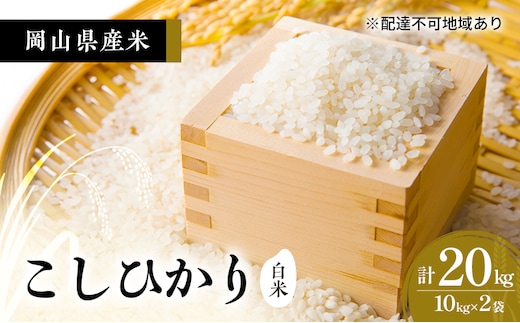 2026年度 先行受付 新米 岡山県産米 白米 こしひかり 20kg(10kg×2袋) お米 コメ 国産 岡山
