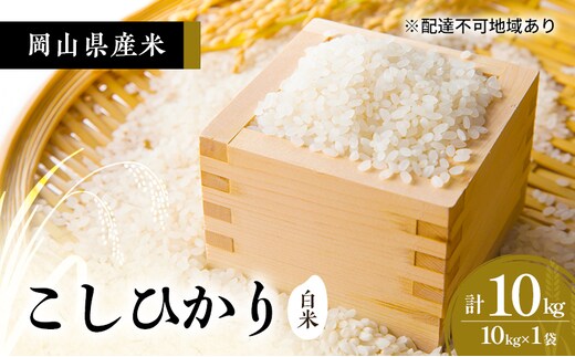 2026年度 先行受付 新米 岡山県産米 白米 こしひかり 10kg(10kg×1袋) お米 コメ 国産 岡山