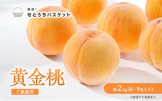 桃 2027年 先行予約 岡山 黄金桃 ご家庭用 約2kg 6～9玉入り もも モモ 岡山県産 国産 フルーツ 果物 直送！せとうちバスケット スイーツ こだわり 特産品 白い 香り 果汁 シーズン 濃厚