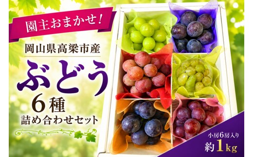 園主おまかせ！ぶどう6種詰め合わせセット約1kg（小房6房入り）化粧箱 岡山県高梁市産