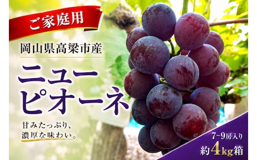 ニューピオーネ7～9房入り 約4kg コンテナ茶箱 ご家庭用 岡山県高梁市産