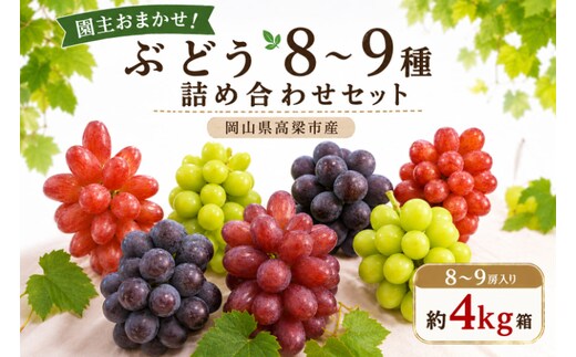 園主おまかせ！ぶどう8～9種詰め合わせセット8～9房入り 約4kg コンテナ茶箱 岡山県高梁市産
