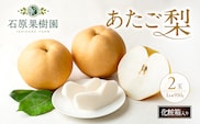 梨 2026年 先行予約 あたご梨 2玉 (1玉 約950g) 化粧箱【11月下旬～12月中旬頃発送】 ナシ なし 岡山県産 国産 フルーツ 果物 ギフト 石原果樹園 繊細な味 ジャンボ梨 