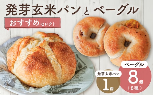 発芽玄米パンとおすすめベーグルセレクト【 ベーグル パン 自家製 酵母 発芽 玄米 もっちり オススメ 】