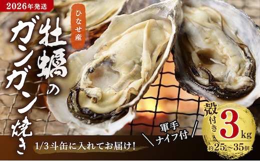 【2026年発送】ひなせ産 牡蠣 ガンガン焼きセット