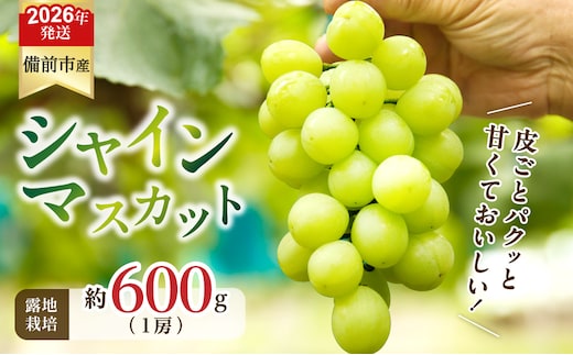 【2026年発送分 先行受付開始！】びぜん葡萄「シャインマスカット」（露地栽培）1房入（令和8年9月上旬～10月下旬頃発送）【 岡山県備前市産 シャインマスカット 露地栽培 1房 約600ｇ前後 樹上完熟 】