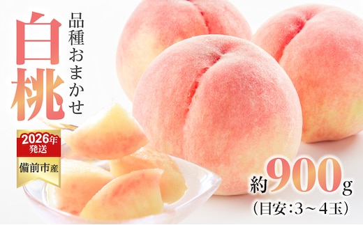 【2026年発送分 先行受付開始！】びぜん白桃 早生4品種のうち1品種 約0.9kg（令和8年6月下旬～7月上旬頃発送）【 岡山県備前市産 白桃 早生 約0.9kg 】
