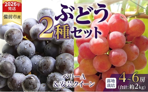 【2026年発送分 先行受付開始！】びぜん葡萄「ベリーA」「安芸クイーン」2種セット（露地栽培）約2kg（令和8年9月上旬～9月中旬頃発送）【 岡山県備前市産 ベリーＡ 安芸クイーン 露地栽培 約2kg 樹上完熟 】
