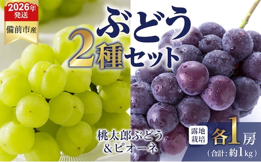 【2026年発送分 先行受付開始！】びぜん葡萄「桃太郎ぶどう」「ピオーネ」（露地栽培）各1房入（令和8年8月中旬～9月中旬頃発送）【 岡山県備前市産 桃太郎ぶどう ピオーネ 露地栽培 各1房 セット 樹上完熟 】