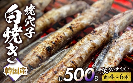 焼穴子 白焼き 約500g（韓国産・大きいサイズ約4～6本）【あなご 焼穴子 韓国産 海 海産物 穴子丼 炭火焼 香ばしい ふっくら ジューシー】
