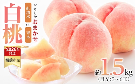 【2026年発送分 先行受付開始！】びぜん白桃 紅清水白桃・末木白桃のうち1品種 約1.5kg（令和8年6月下旬～7月頃発送）【岡山県備前市産 紅清水白桃 末木白桃 うち1品種 約1.5kg （５～６玉目安）】