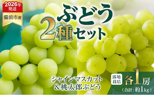 【2026年発送分 先行受付開始！】びぜん葡萄「シャインマスカット」「桃太郎ぶどう」（露地栽培）各1房入（令和8年8月下旬～10月中旬頃発送）【 岡山県備前市産 シャインマスカット 桃太郎ぶどう 露地栽培 各1房 セット 樹上完熟 】