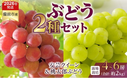 【2026年発送分 先行受付開始！】びぜん葡萄「安芸クイーン」「桃太郎ぶどう」（露地栽培）約2㎏入（令和8年9月上旬～9月下旬頃発送）【 岡山県備前市産 安芸クイーン 桃太郎ぶどう 露地栽培 約2kg 4房～6房 詰合せセット 】