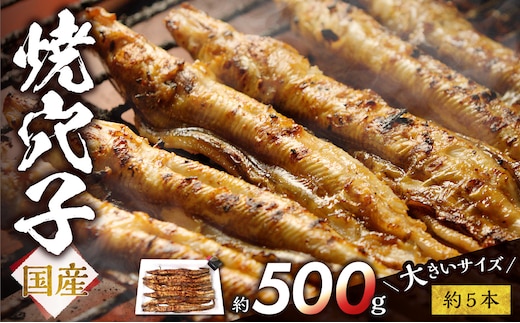 焼穴子 約500g（国産・大きいサイズ約5本）