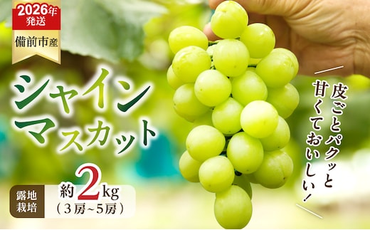 【2026年発送分 先行受付開始！】びぜん葡萄「シャインマスカット」（露地栽培）約2kg入（令和8年9月上旬～10月中旬頃発送）【 岡山県備前市産 シャインマスカット 露地栽培 約2kg（3～5房目安）樹上完熟 】