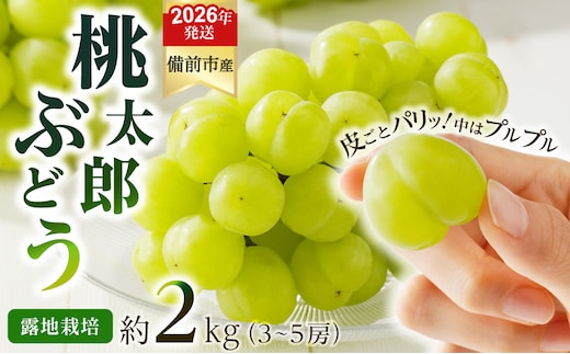 【2026年発送分 先行受付開始！】びぜん葡萄「桃太郎ぶどう」（露地栽培）約2kg入（令和8年9月上旬～10月中旬頃発送）【 岡山県備前市産 桃太郎ぶどう 露地栽培 約2kg入 (3～5房目安) 樹上完熟 】