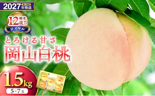 【2027年発送分・先行予約開始！】岡山県産 白桃 最高ランク！「ロイヤル」約1.5kg 5～7玉（令和9年7月以降発送）【先行受付 先行予約 白桃 ロイヤル フルーツ 果物 もも 桃 モモ 岡山県産】
