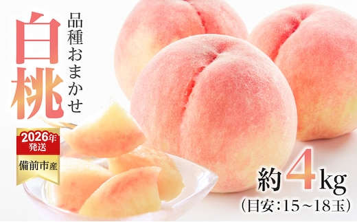 【2026年発送分 先行受付開始！】びぜん白桃 早生4品種のうち1品種 約4kg（令和8年6月下旬～7月上旬頃発送）【岡山県備前市産 早生 4品種のうち1品種 約４kg （１５～１８玉目安）】