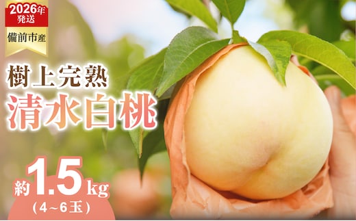 【2026年発送分 先行受付開始！】びぜん白桃 清水白桃 約1.5kg（令和8年7月上旬～7月中旬頃発送）【 岡山県備前市産 清水白桃 約1.5kg （４～６玉目安） 】