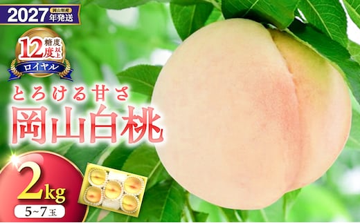 【2027年発送分・先行予約開始！】岡山県産 白桃 最高ランク！「ロイヤル」約2kg（5～7玉）（令和9年7月以降発送）【先行受付 先行予約 白桃ロイヤル フルーツ 果物 もも 桃 モモ 岡山県産 ロイヤル】