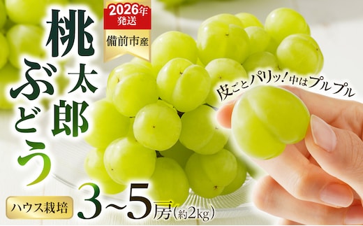 【2026年発送分 先行受付開始！】びぜん葡萄「桃太郎ぶどう」（ハウス栽培）約2㎏入（令和8年8月中旬～9月中旬頃発送）【 岡山県備前市産 桃太郎ぶどう 果物 フルーツ ハウス栽培 約2kg （3～5房目安）樹上完熟 】