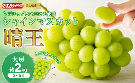 【2026年発送分 先行受付スタート！】岡山県産シャインマスカット「晴王」秀品 大房 （約2kg・2～5房程度）（令和8年8月中旬～11月中旬頃発送）【 シャインマスカット 晴王 フルーツ 果物 くだもの 葡萄 ぶどう 岡山県産 秀品 大房 種無し 高糖度 】hz-s
