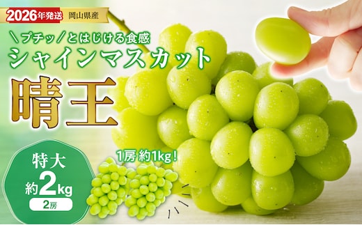 【2026年発送分 先行受付スタート！】岡山県産シャインマスカット 「晴王」秀品（特大サイズ2房・約2kg）（令和8年8月中旬以降発送）【 シャインマスカット 晴王 フルーツ 果物 くだもの 葡萄 ぶどう 岡山県産 秀品 大房 種無し 高糖度 】hz-s