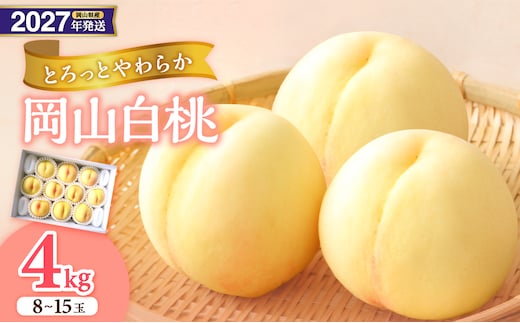 【2027年発送分・先行予約開始！】岡山県産 白桃 約4kg 8～15玉（令和9年7月以降発送）【先行受付 先行予約 白桃 フルーツ 果物 もも 桃 モモ 岡山県産】