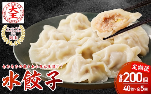 餃子 水餃子 定期便 5回発送 40個 ミシュラン 山東水餃大王