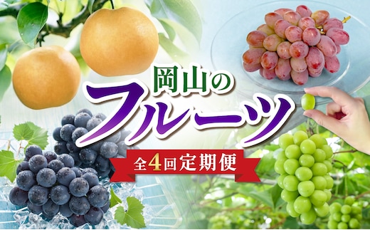 【2026年発送】【定期便】岡山のフルーツ定期便4回コース（9月～12月配送 計4回お届け！）【ニューピオーネ シャインマスカット 晴王 紫苑 あたご梨 ぶどう 梨 果物 くだもの フルーツ 定期便】