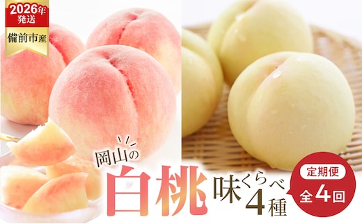 【2026年発送分 先行受付開始！】【定期便】びぜん白桃 味くらべセット 約2kg×4回発送（令和8年6月下旬～7月頃発送）【 岡山県備前市産 白桃 味くらべ 4回発送 】