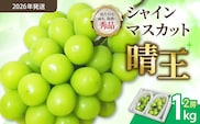 【令和８年発送分】岡山県産 シャインマスカット晴王【秀品】1kg（令和8年9月から10月頃発送）【 岡山県産 シャインマスカット 秀品 晴王 晴れの国おかやま 葡萄 ぶどう】