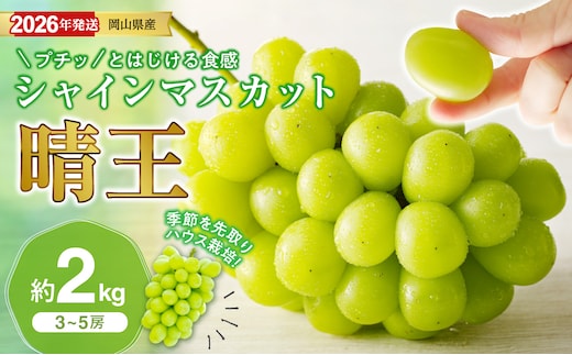 【2026年発送分 先行受付スタート！】岡山県産シャインマスカット「晴王」【ハウス栽培】約2kg（3～5房程度）（令和8年7月以降発送）【 シャインマスカット 晴王 フルーツ 果物 くだもの 葡萄 ぶどう 岡山県産 秀品 大房 種無し 高糖度 ハウス栽培】hz-s