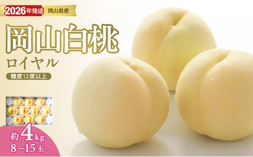 【2026年発送分 先行受付スタート！】岡山県産 白桃 最高ランク！「ロイヤル」約4kg（ 8～15玉）（令和8年7月以降発送）【 白桃ロイヤル フルーツ 果物 くだもの もも 桃 モモ 岡山県産 】hz-m