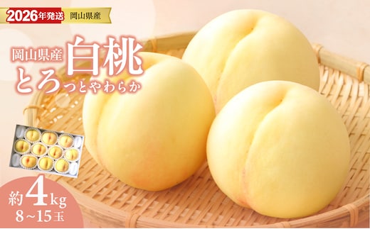 【2026年発送分 先行受付スタート！】岡山県産 白桃 約4kg（8～15玉）（令和8年7月以降発送）【 白桃 フルーツ 果物 くだもの もも 桃 モモ 岡山県産 】hz-m