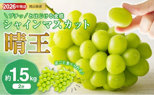 【2026年発送分 先行受付スタート！】岡山県産シャインマスカット「晴王」秀品 約1.5㎏（2房）（令和8年8月中旬～11月中旬頃発送）【 シャインマスカット 晴王 フルーツ 果物 くだもの 葡萄 ぶどう 御中元 ギフト プレゼント 御祝 岡山県産 秀品 種無し 高糖度 】hz-s