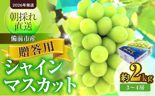 【2026年発送】備前市産 贈答用シャインマスカット 約2kg（8月中旬～9月中旬頃発送）【シャインマスカット ぶどう 葡萄 ギフト フルーツ 果物 のし不可 贈答用 備前市産 晴れの国おかやま】