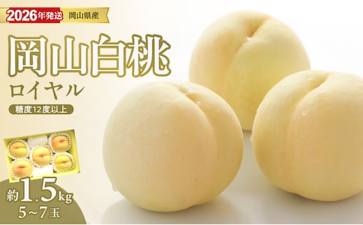 【2026年発送分 先行受付スタート！】岡山県産 白桃 最高ランク！「ロイヤル」約1.5kg（ 5～7玉）（令和8年7月以降発送）【 白桃ロイヤル フルーツ くだもの 果物 もも 桃 モモ 岡山県産 ロイヤル 】hz-m