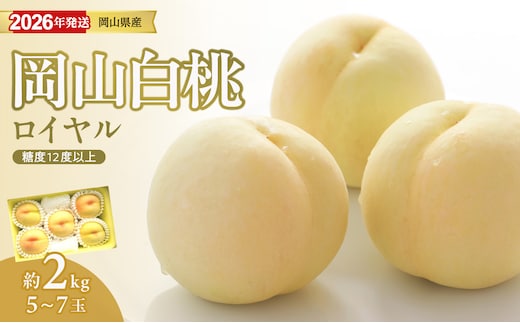 【2026年発送分 先行受付スタート！】岡山県産 白桃 最高ランク！「ロイヤル」 約2kg（令和8年7月以降発送）【 白桃ロイヤル フルーツ 果物 くだもの もも 桃 モモ 岡山県産 】hz-m