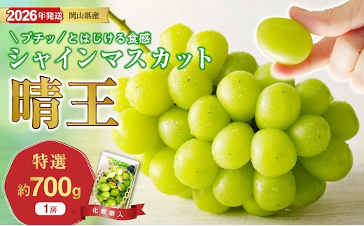 【2026年発送分 先行受付スタート！】岡山県産シャインマスカット「晴王」 特選 大房 化粧箱入 1房（約700g）（令和8年8月中旬以降発送） 【 シャインマスカット 晴王 フルーツ 果物 くだもの 葡萄 ぶどう 岡山県産 特選 種無し 高糖度 】hz-s